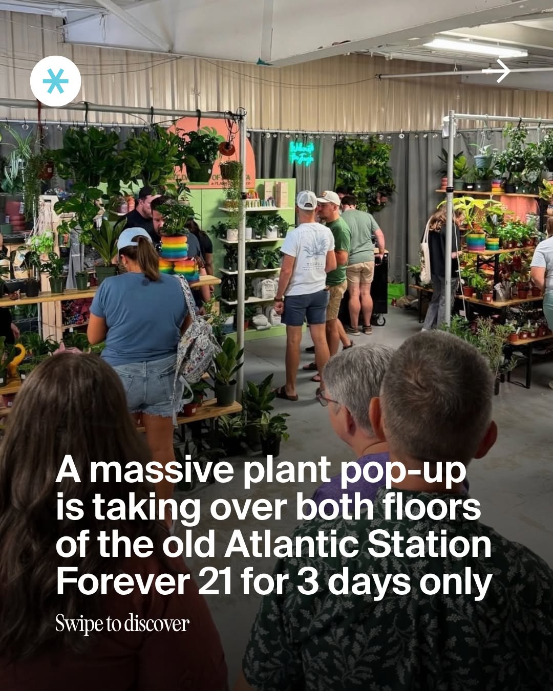 Plants, Sparkle & Good Vibes Market at Atlantic Station